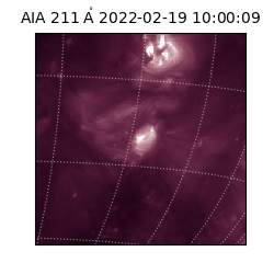 saia - 2022-02-19T10:00:09.633000