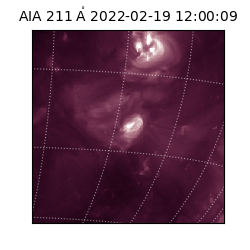 saia - 2022-02-19T12:00:09.633000