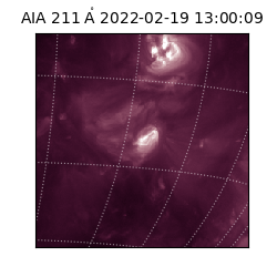 saia - 2022-02-19T13:00:09.626000