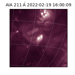 saia - 2022-02-19T16:00:09.623000