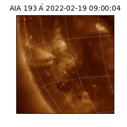 saia - 2022-02-19T09:00:04.843000