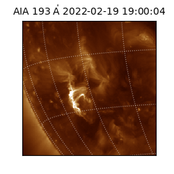 saia - 2022-02-19T19:00:04.843000