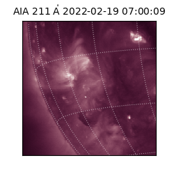 saia - 2022-02-19T07:00:09.626000
