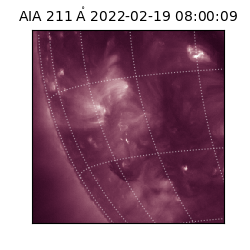 saia - 2022-02-19T08:00:09.626000