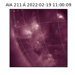 saia - 2022-02-19T11:00:09.626000