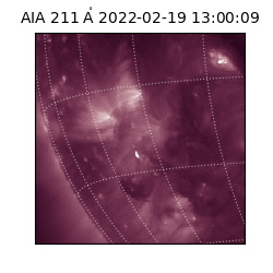 saia - 2022-02-19T13:00:09.626000