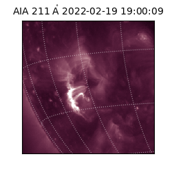 saia - 2022-02-19T19:00:09.626000