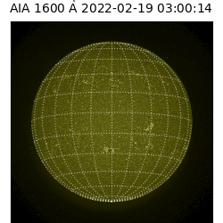 saia - 2022-02-19T03:00:00