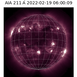 saia - 2022-02-19T06:00:00