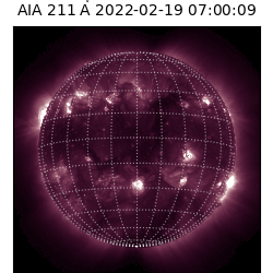 saia - 2022-02-19T07:00:00