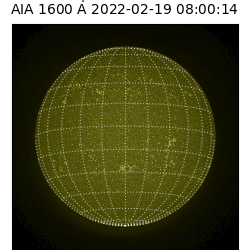 saia - 2022-02-19T08:00:00