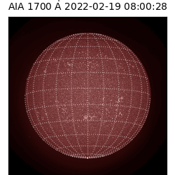 saia - 2022-02-19T08:00:00