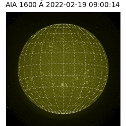 saia - 2022-02-19T09:00:00
