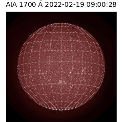 saia - 2022-02-19T09:00:00