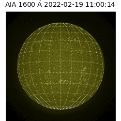 saia - 2022-02-19T11:00:00