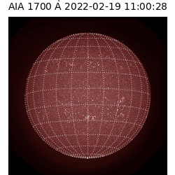 saia - 2022-02-19T11:00:00