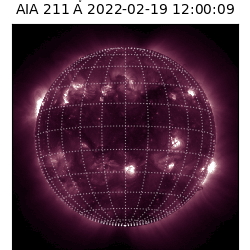 saia - 2022-02-19T12:00:00