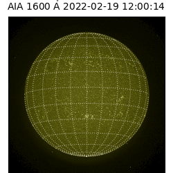 saia - 2022-02-19T12:00:00