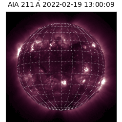 saia - 2022-02-19T13:00:00