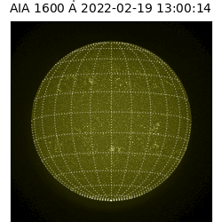 saia - 2022-02-19T13:00:00