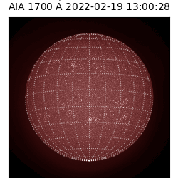 saia - 2022-02-19T13:00:00