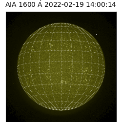 saia - 2022-02-19T14:00:00
