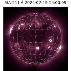 saia - 2022-02-19T15:00:00