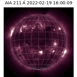 saia - 2022-02-19T16:00:00