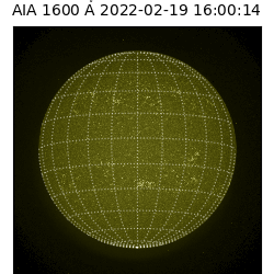 saia - 2022-02-19T16:00:00