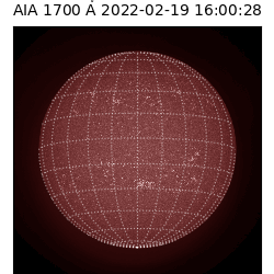 saia - 2022-02-19T16:00:00