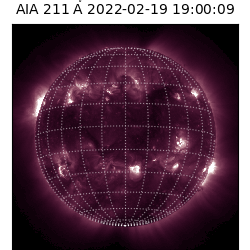 saia - 2022-02-19T19:00:00