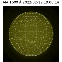 saia - 2022-02-19T19:00:00