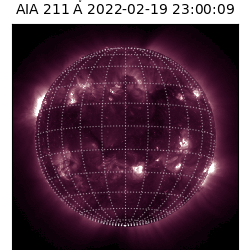 saia - 2022-02-19T23:00:00