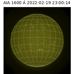 saia - 2022-02-19T23:00:00