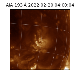 saia - 2022-02-20T04:00:04.843000