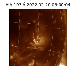 saia - 2022-02-20T06:00:04.843000