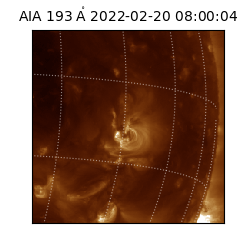 saia - 2022-02-20T08:00:04.843000