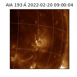 saia - 2022-02-20T09:00:04.843000