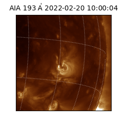 saia - 2022-02-20T10:00:04.843000