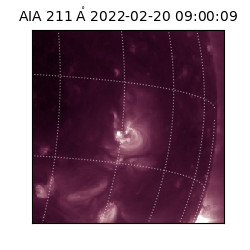 saia - 2022-02-20T09:00:09.626000