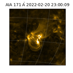 saia - 2022-02-20T23:00:09.350000