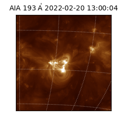 saia - 2022-02-20T13:00:04.843000