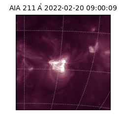 saia - 2022-02-20T09:00:09.626000