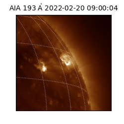 saia - 2022-02-20T09:00:04.843000