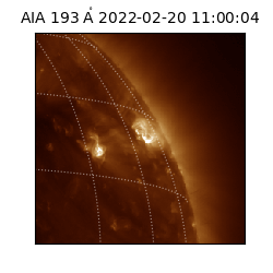 saia - 2022-02-20T11:00:04.843000