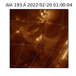 saia - 2022-02-20T01:00:04.843000