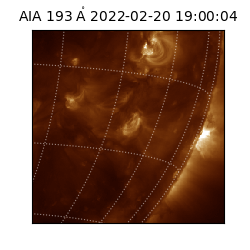 saia - 2022-02-20T19:00:04.846000
