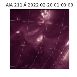 saia - 2022-02-20T01:00:09.626000