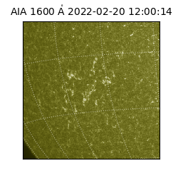 saia - 2022-02-20T12:00:14.126000