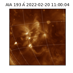 saia - 2022-02-20T11:00:04.843000